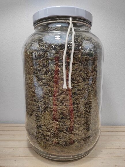 TÉ VERDE CON HIERBABUENA - TÉ MORUNO (CHINA)