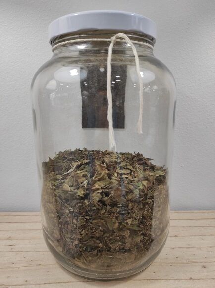 TÉ BLANCO - PAI MU TAN (CHINA)