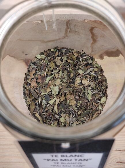 TÉ BLANCO - PAI MU TAN (CHINA)
