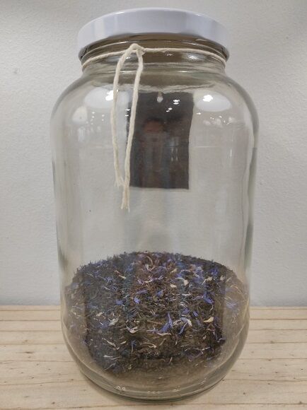 TÉ NEGRO CON BERGAMOTA - TÉ NEGRO EARL GREY (NO UE)