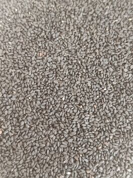 COMINO NEGRO EN GRANO (INDIA)