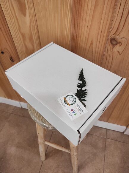 CESTA ALIMENTACIÓN Nº 0019 (SILLA)