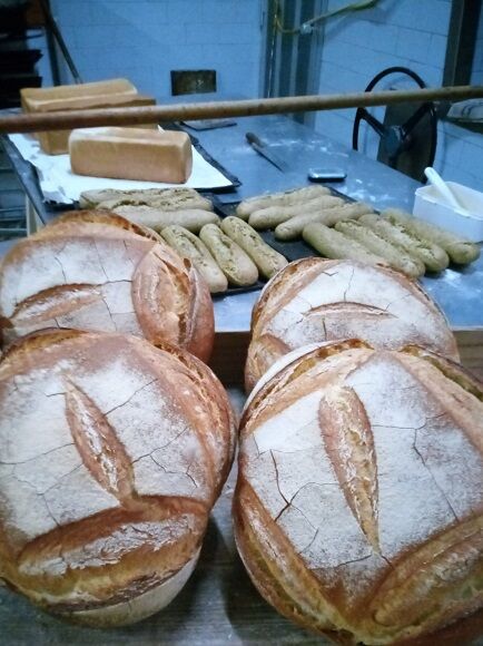 PAN DE FIBRA LAXANTE TOSTADO EN RODAJAS (SILLA) HORNO SAN JOS