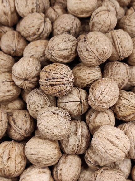 NUECES CON CÁSCARA +34 (ESPAÑA)