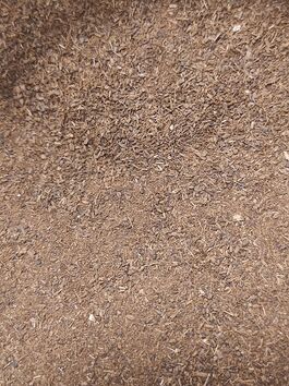 CLAVO MOLIDO a granel (MADAGASCAR)