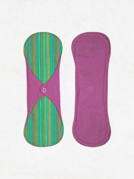 COMPRESA REUTILIZABLE DE DÍA PLUS VIBRANT CON PUL 26,5 X 12 X 0,3 CM 1 UD (INDIA) ECO FEMME - ECO