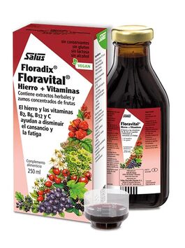 FLORAVITAL LÍQUIDO 250 ML - SIN GLUTEN (SUIZA) FLORADIX