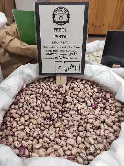JUDÍA ALUBIA PINTA (ESPAÑA)