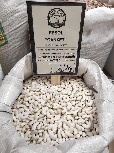 JUDIA GANXET (CATALUÑA)