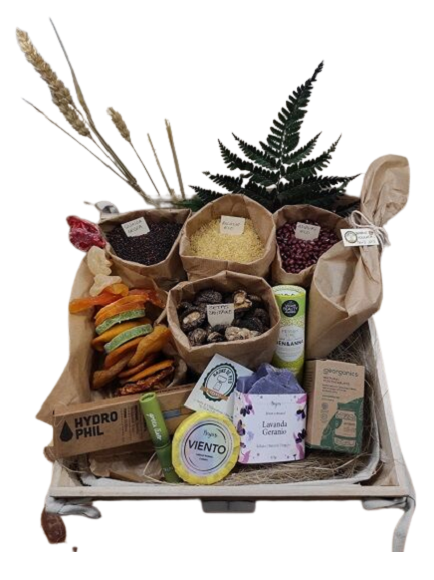 CESTA ALIMENTACIÓN Y COSMÉTICA Nº 0001 (SILLA)