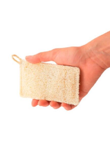 ESPONJA DE FREGAR DE LUFA 1 UD - PLASTIC FREE YEAH (ESPAÑA) NAIKED - ECO