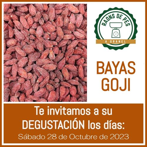 BAYAS GOJI DESHIDRATADAS (CHINA)