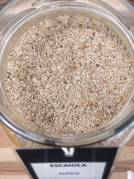 SEMILLAS ALPISTE (ESPAÑA)