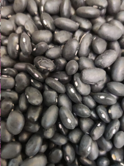 JUDÍA ALUBIA FRIJOL NEGRO A GRANEL (ARGENTINA)