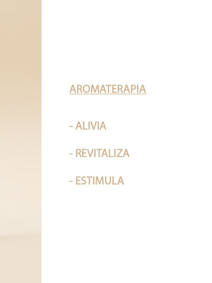 ESENCIA NATURAL CANELA 12 ML 1 UD (VALENCIA) SYS