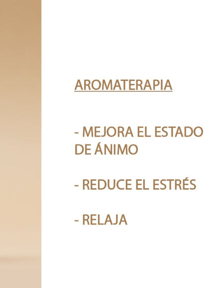 ESENCIA NATURAL COCO 12 ML 1 UD (VALENCIA) SYS