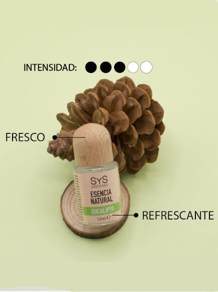ESENCIA NATURAL EUCALIPTO 12 ML 1 UD (VALENCIA) SYS