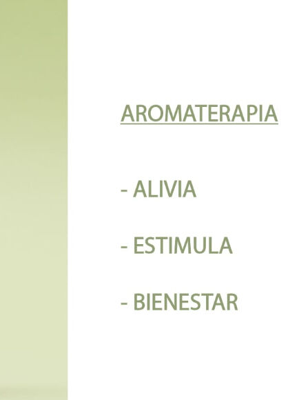 ESENCIA NATURAL EUCALIPTO 12 ML 1 UD (VALENCIA) SYS