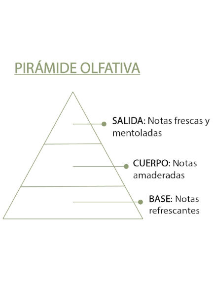 ESENCIA NATURAL EUCALIPTO 12 ML 1 UD (VALENCIA) SYS