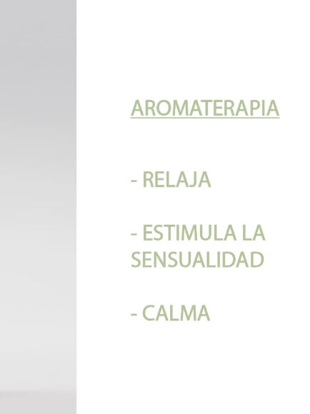 ESENCIA NATURAL JAZMIN 12 ML 1 UD (VALENCIA) SYS