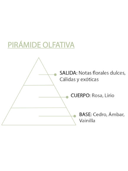 ESENCIA NATURAL JAZMIN 12 ML 1 UD (VALENCIA) SYS