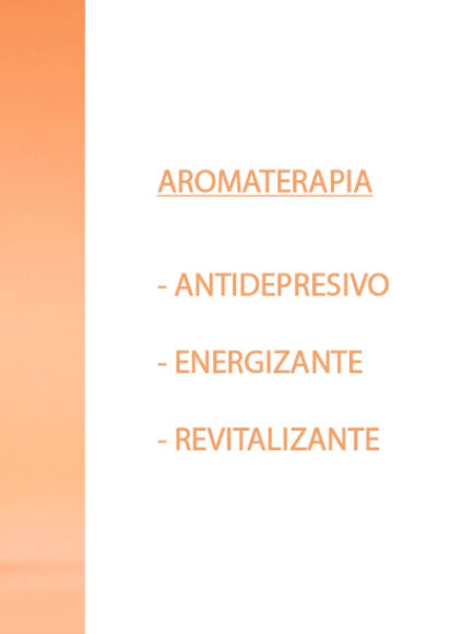 ESENCIA NATURAL NARANJA 12 ML 1 UD (VALENCIA) SYS