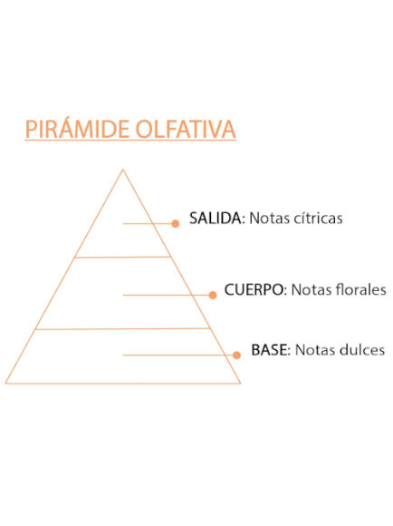 ESENCIA NATURAL NARANJA 12 ML 1 UD (VALENCIA) SYS