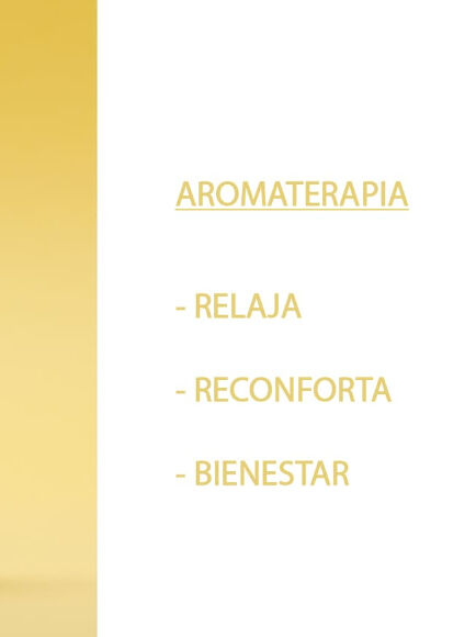 ESENCIA NATURAL VAINILLA 12 ML 1 UD (VALENCIA) SYS