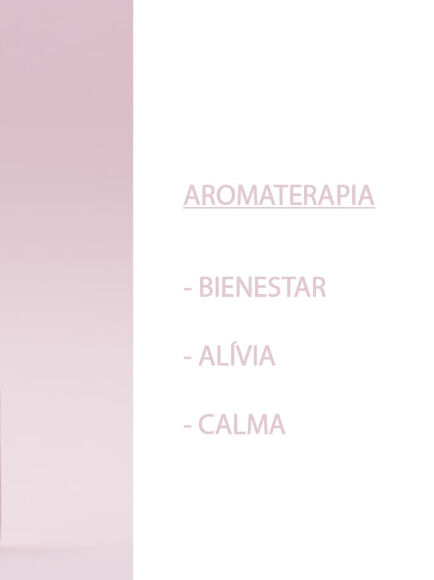 ESENCIA NATURAL ROSAS 12 ML 1 UD (VALENCIA) SYS