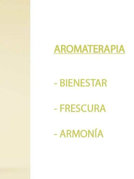 ESENCIA NATURAL LIMON CITRICO 12 ML 1 UD (VALENCIA) SYS