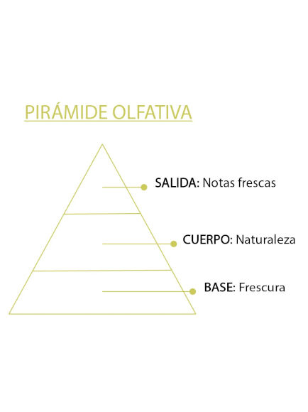ESENCIA NATURAL LIMON CITRICO 12 ML 1 UD (VALENCIA) SYS