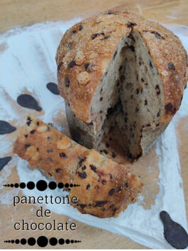 PANETTONE VEGANO CHOCO 560 GR 1 UD (SILLA) ARTESPIGA - ECO