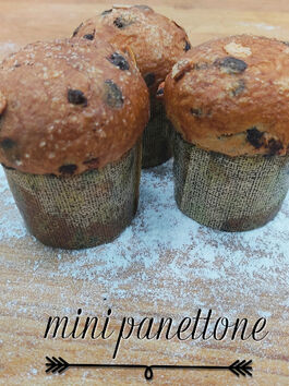 MINI PANETTONE VEGANO CHOCO 100 GR 1 UD (SILLA) ARTESPIGA - ECO